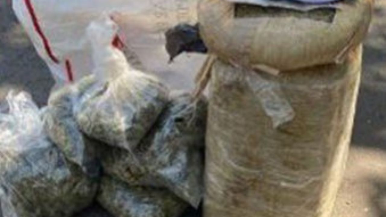 detenidos-marihuana-Morelos