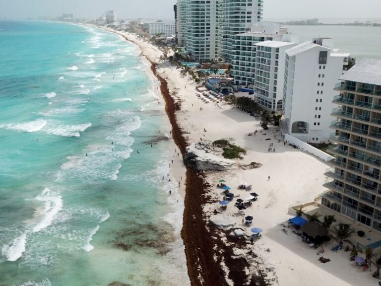 f850x638-92648_170137_5050