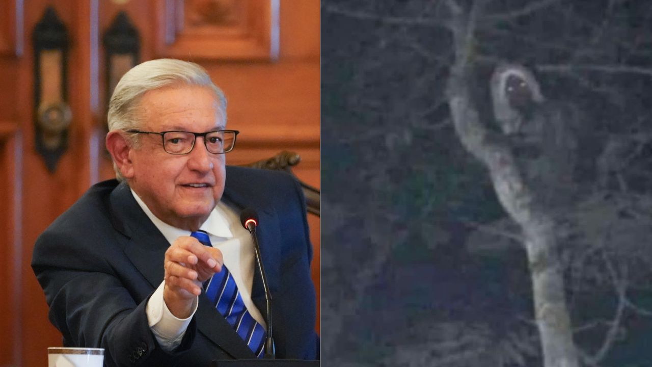 AMLO-Aluxe