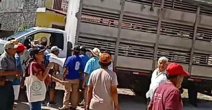 Secuestran-pseudoambientalistas-de-Kanan-a-camion-de-cerdos-con-chofer-en-Sitilpech-720x375