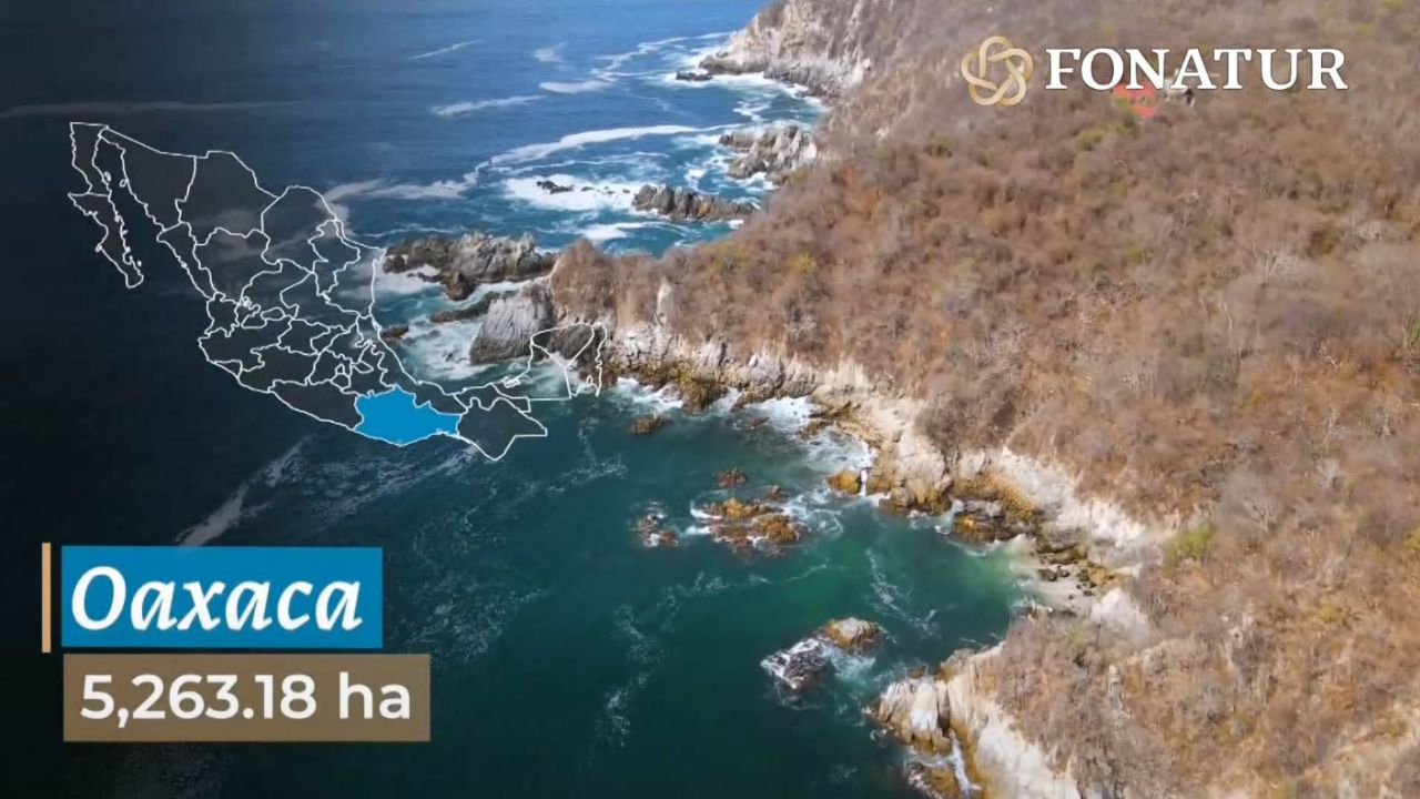predios-de-mas-16-mil-hectareas-de-fonatur-se-convertiran-en-areas-naturales-protegidas