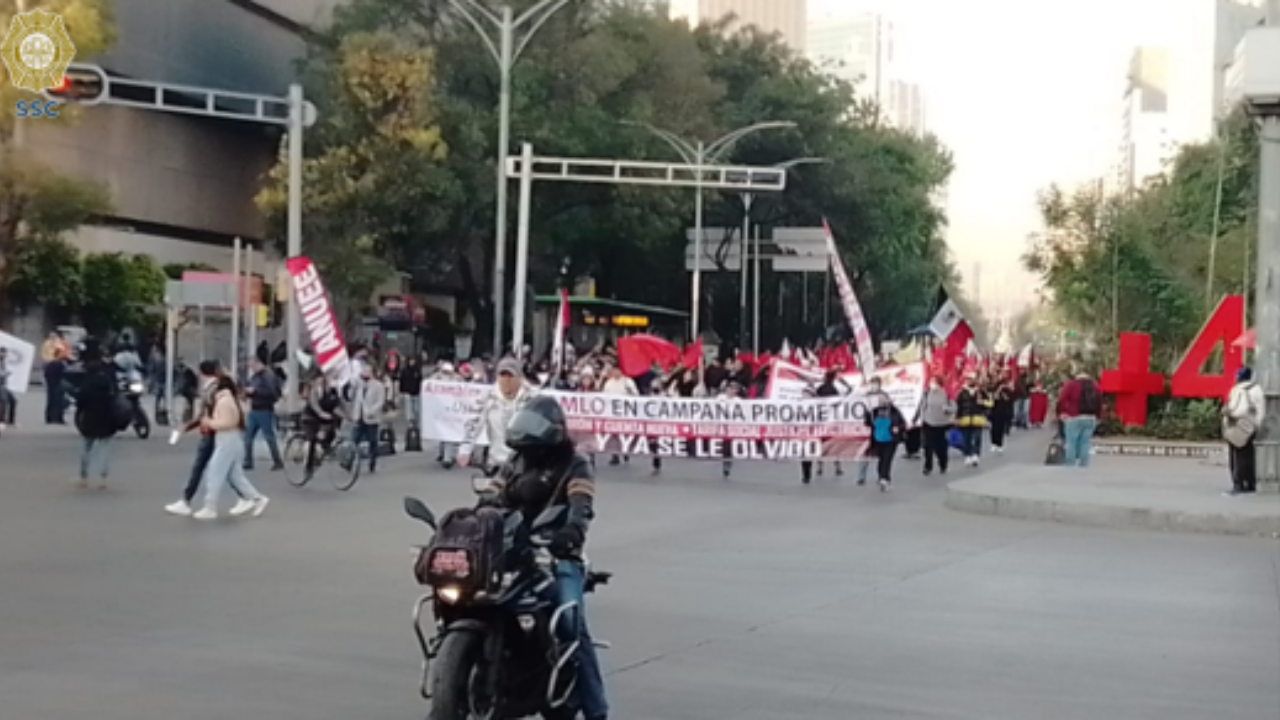 sme-anuee-marcha-zocalo
