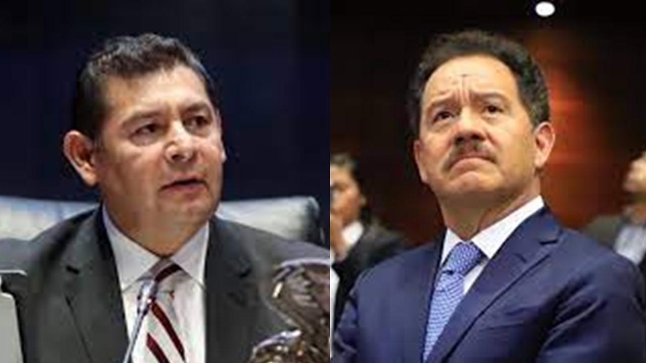 Imagen de WhatsApp 2023-03-20 a las 17.25.49