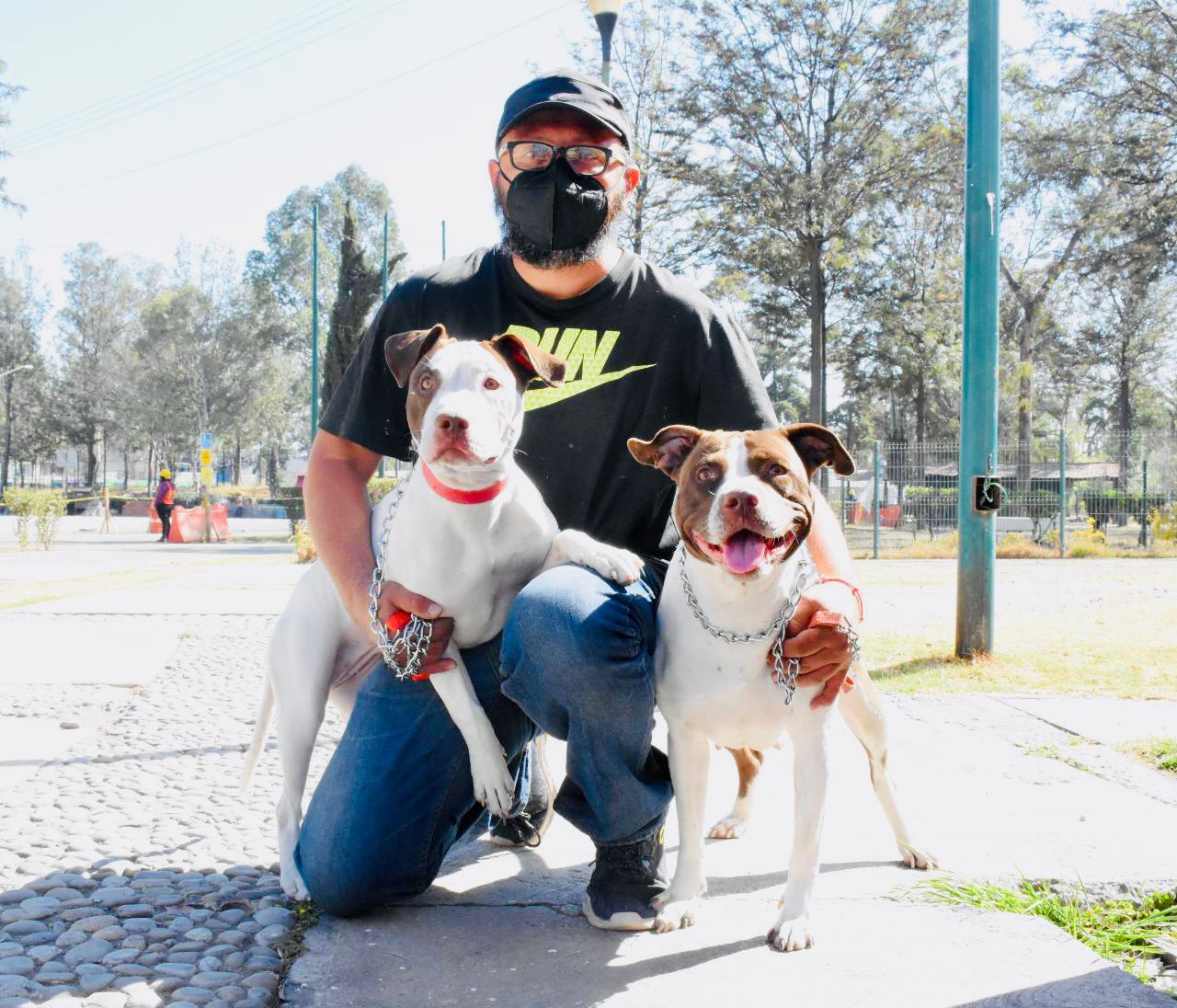 Jornada intensa de esterilización canina y felina en Tláhuac