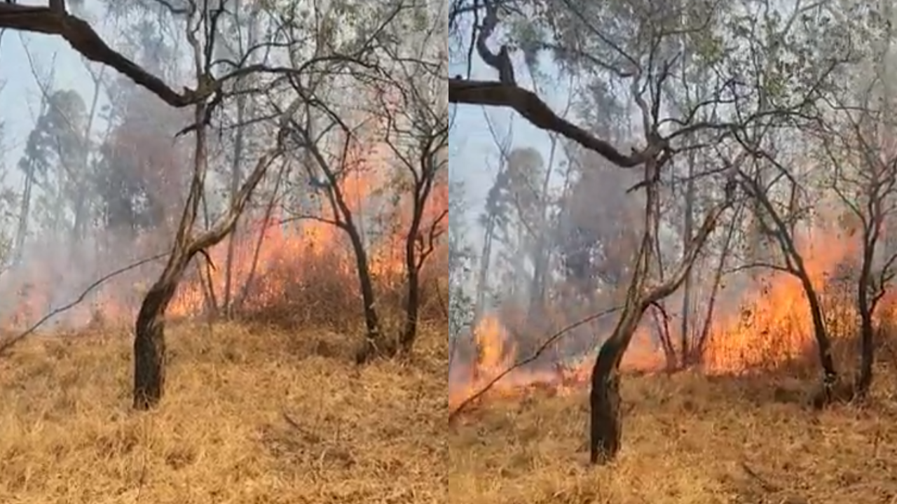 incendio-cerro-moctezuma-Naucalpan