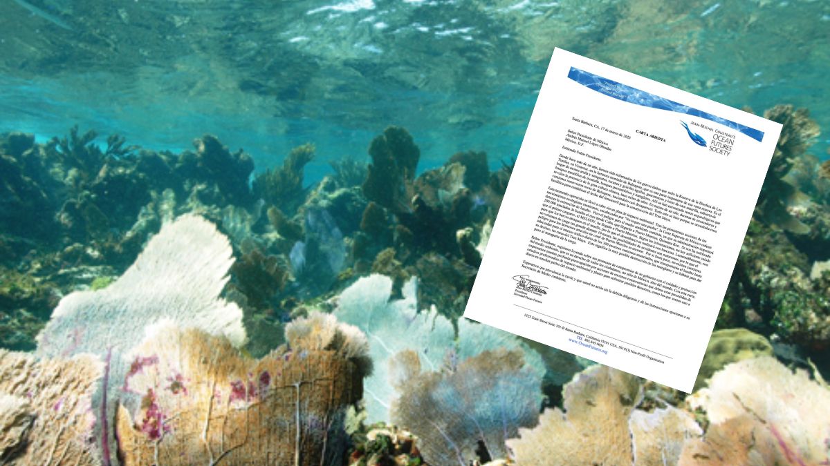 ocean-futures-society-tren-maya-impacto-ambiental