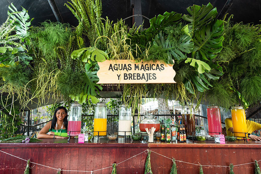 Maxicca Verbena_La Bruja de la Barra