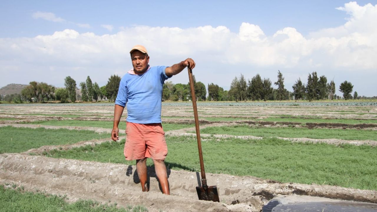 ProductorRomeritosTlahuac