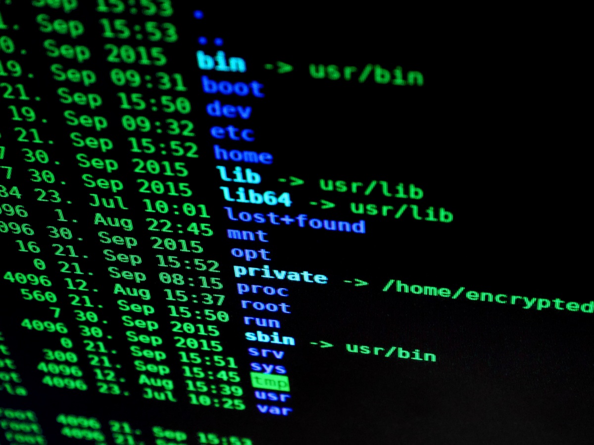 computer-technology-number-internet-line-biology-488123-pxhere.com