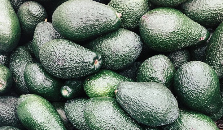 5 de Mayo impulsa la exportación de productos agrícolas