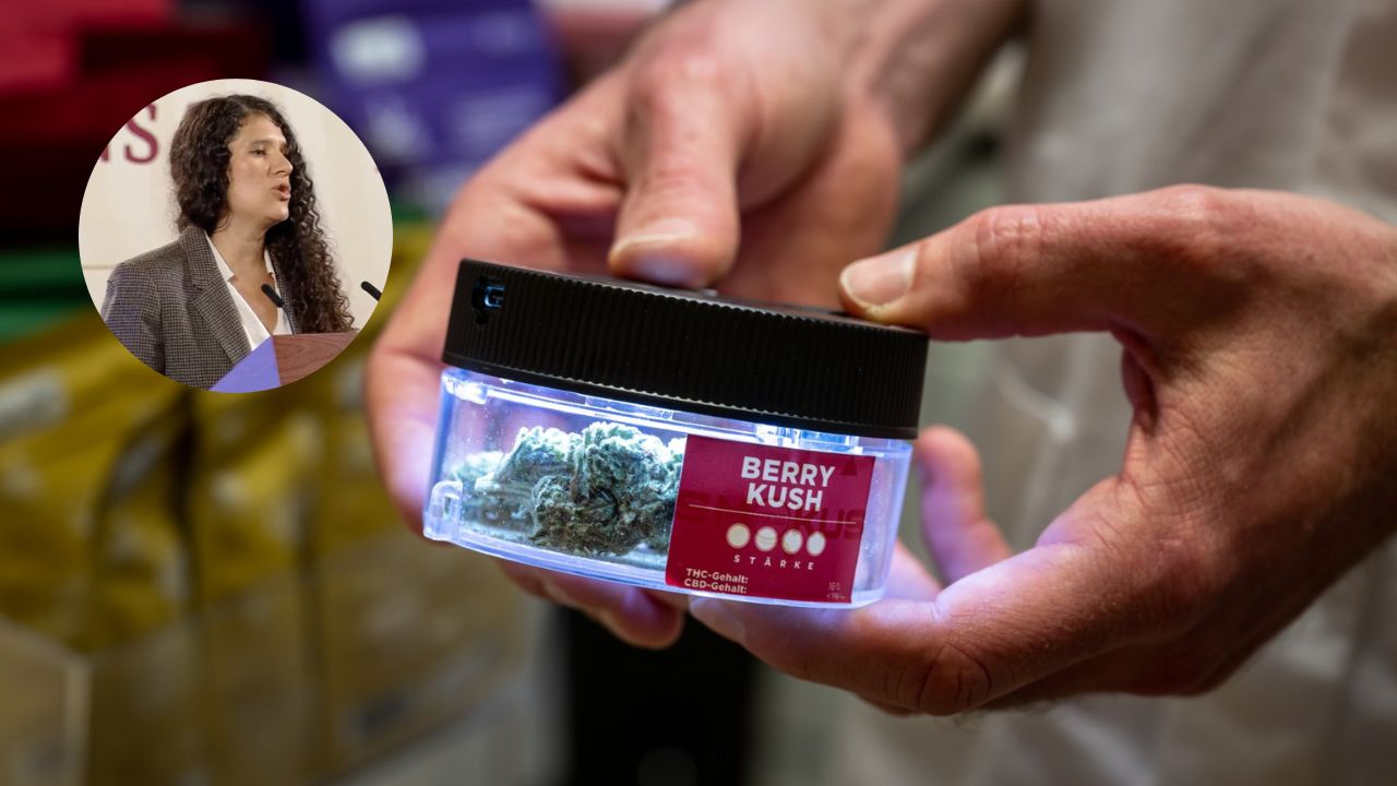 gobierno-revela-que-se-otorgaron-65-licencias-para-vender-marihuana-a-11-empresas-a-finales-del-2018