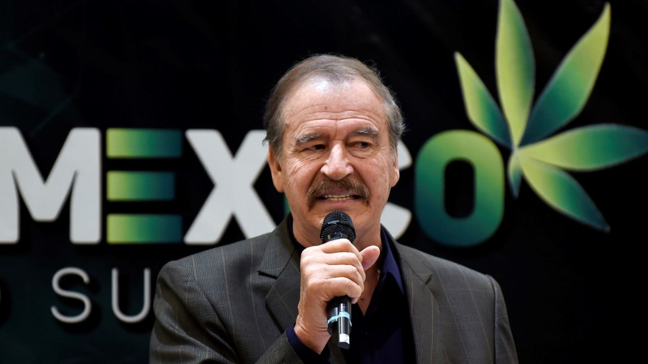 hay-orden-para-que-cofepris-investigue-a-fondo-empresa-de-vicente-fox-por-venta-de-productos-de-marihuana-amlo