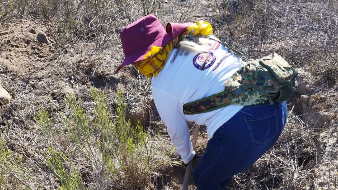 Cecilia-Patricia-Flores