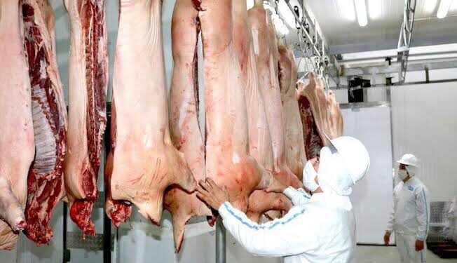 IMG-20230510-WA0013-652x375