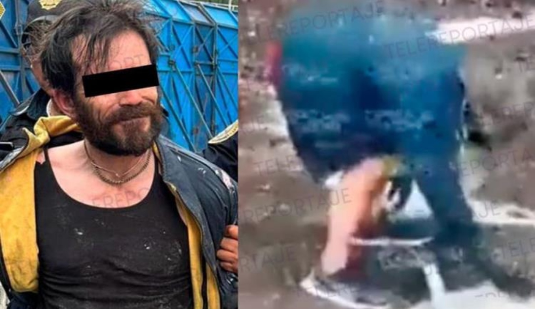 cdmx_ahuahuete_reforma