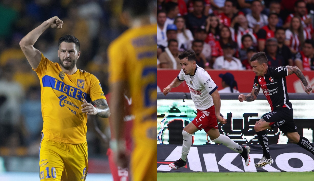 tigres_atlas