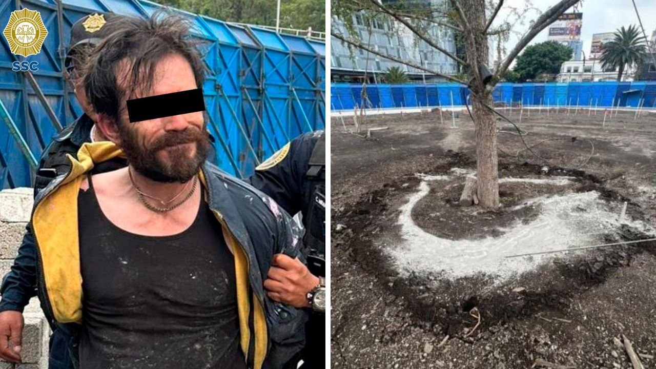 vinculan-a-proceso-a-hombre-que-rego-con-cemento-arbol-ahuehuete-en-paseo-de-reforma