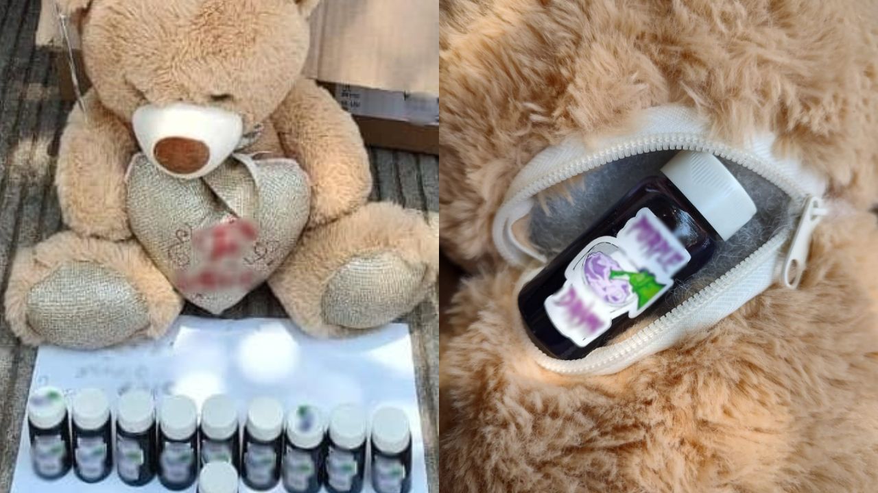 Cae-oso-de-peluche-con-presunto-narcotico-en-Culiacan-Sinaloa