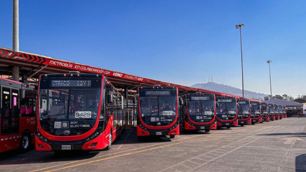 Chofer-de-Metrobus-detiene-la-unidad-para-tomar-una-roca-en-Insurgentes