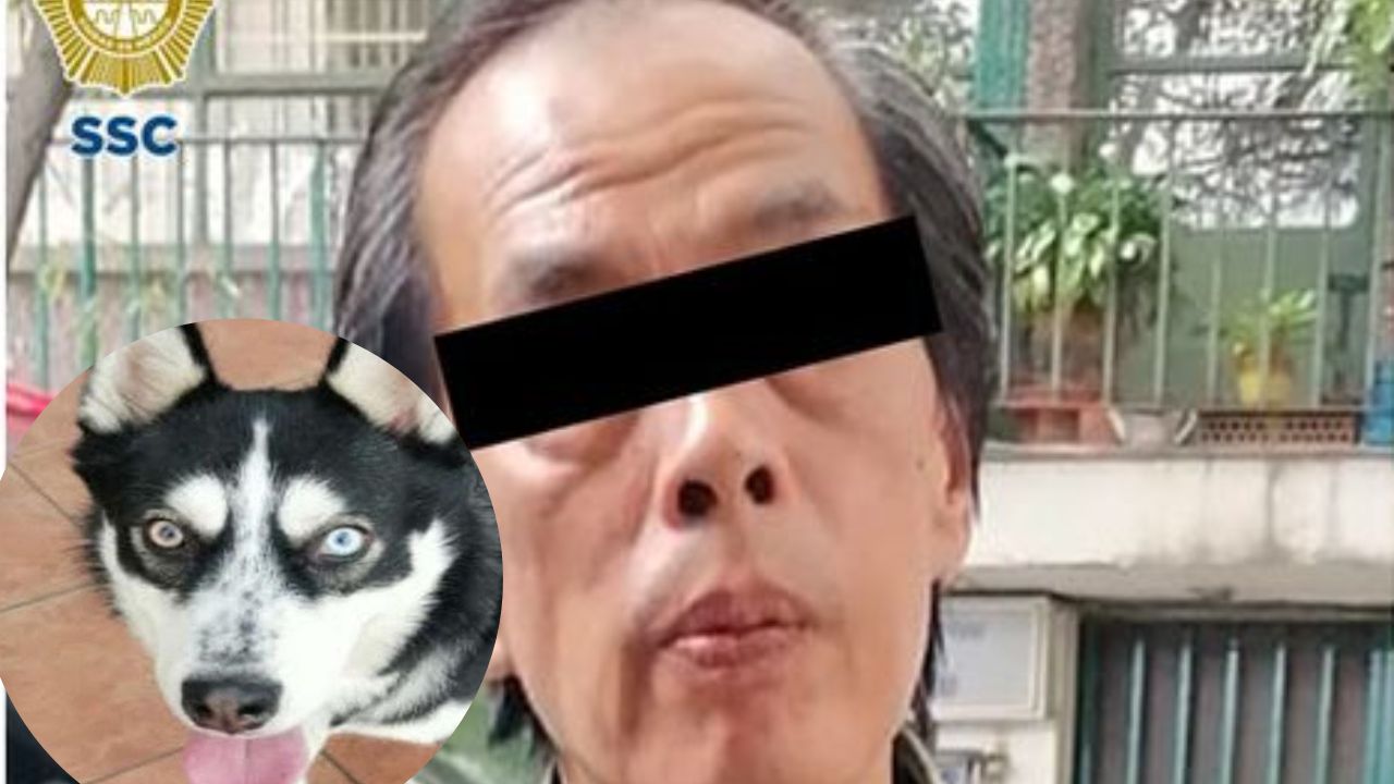 Detienen-a-sujeto-que-golpeo-a-perrito-husky-en-calles-de-la-Cuauhtemoc