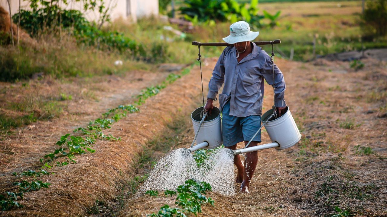 Jornaleros-La-Angostura