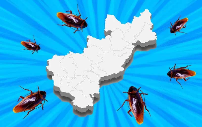 Libra-Querétaro-“efecto-cucaracha”-por-inseguridad-de-Guanajuato-