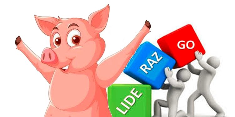 Porcicolas-organizados-crecen-en-liderazgo-750x375