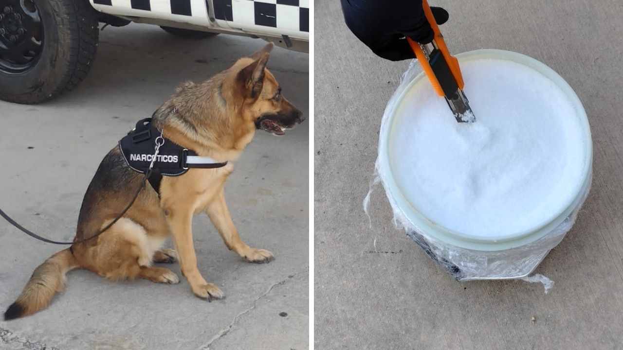 hallan-crystal-oculta-en-cubeta-de-pintura-en-hermosillo-sonora