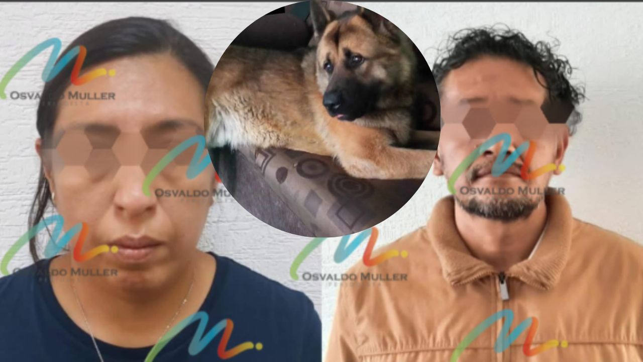Caen-dos-personas-por-asesinato-de-Kuko-perrito-guia-en-Edomex