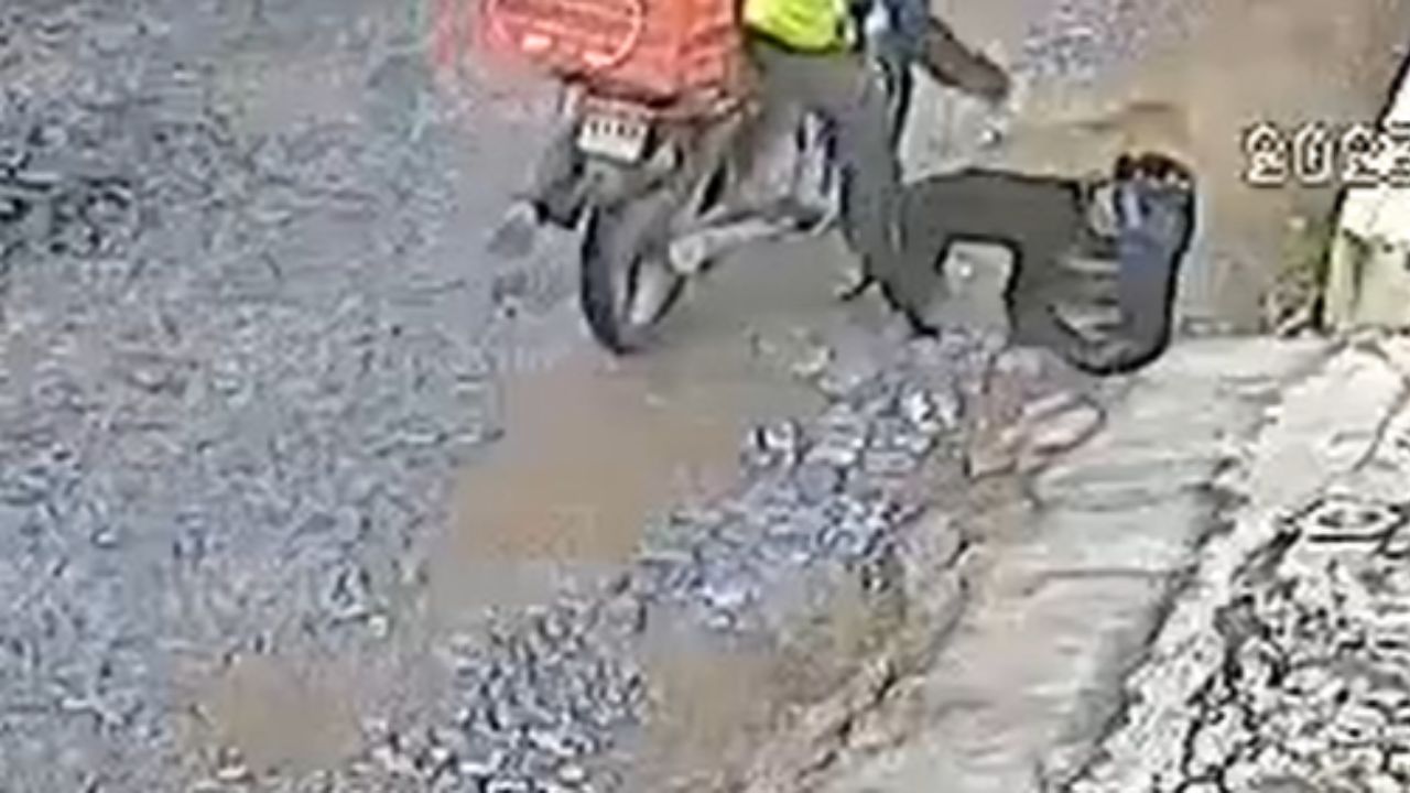 Hombre-en-motocicleta-se-roba-a-perrita-en-Jalisco