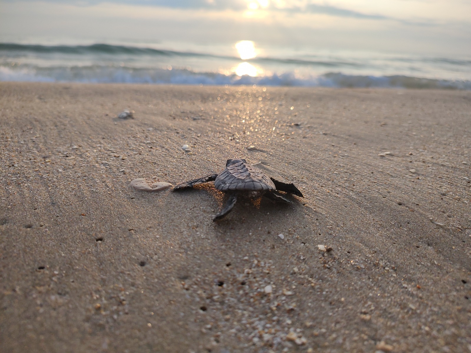 Imagen de WhatsApp 2023-08-30 a las 18.11.20