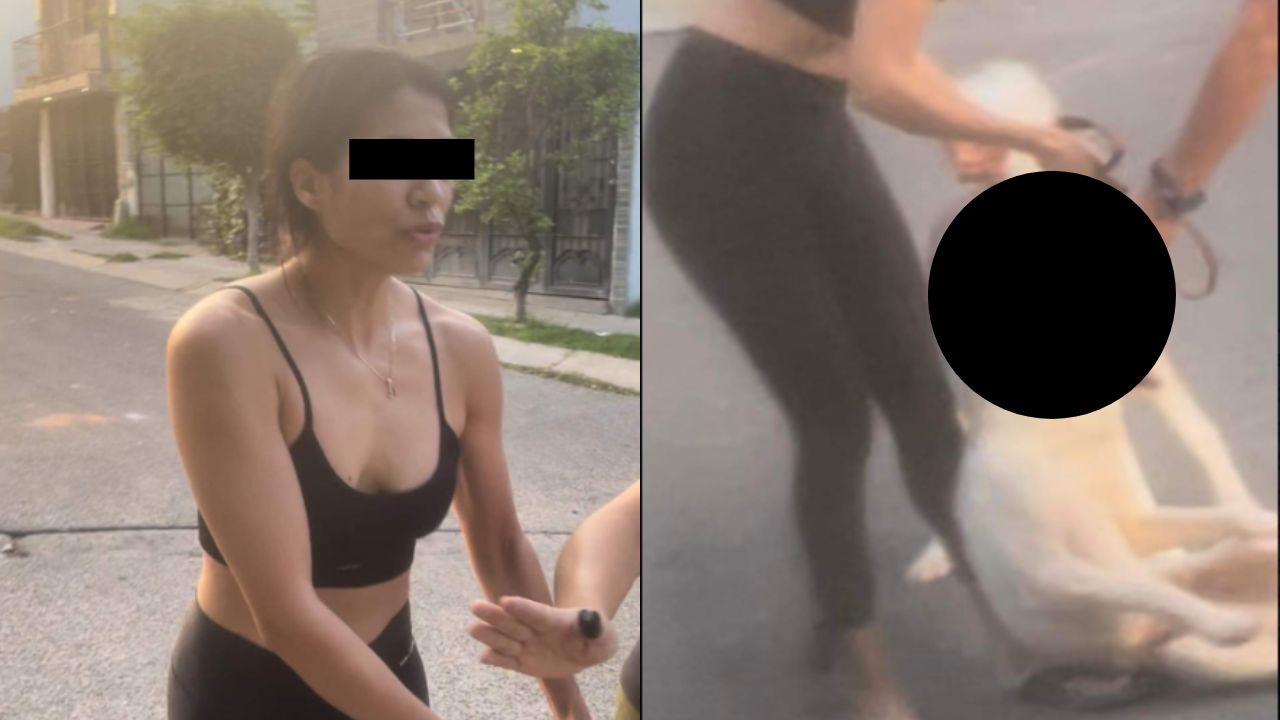 Mujer-usa-a-su-perro-de-raza-husky-para-asesinar-a-otro-lomito-en-Jalisco