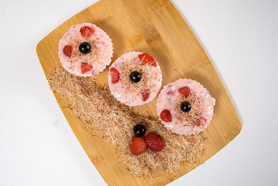 Recetas CNSF (2)