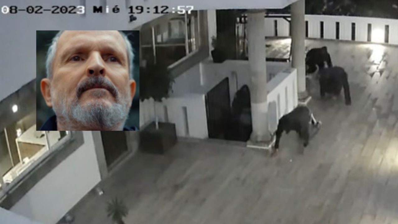 asaltos-casa-alvaro-obregon-miguel-bose