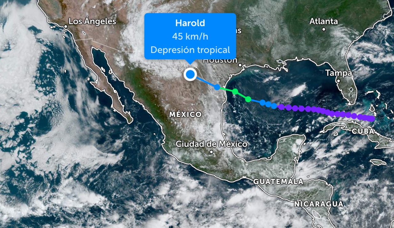harold_depresion