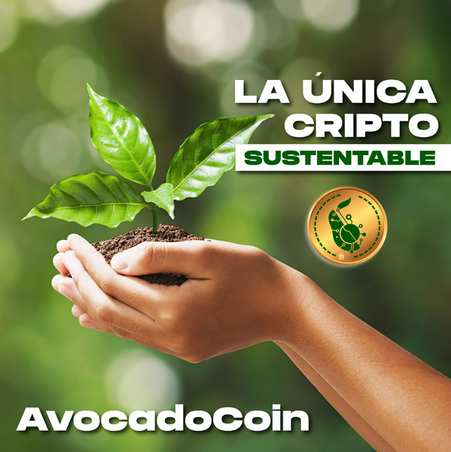 la-unica-cripto-sustentable-avocadocoin