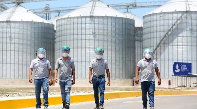 produccion-de-Keken-678x375