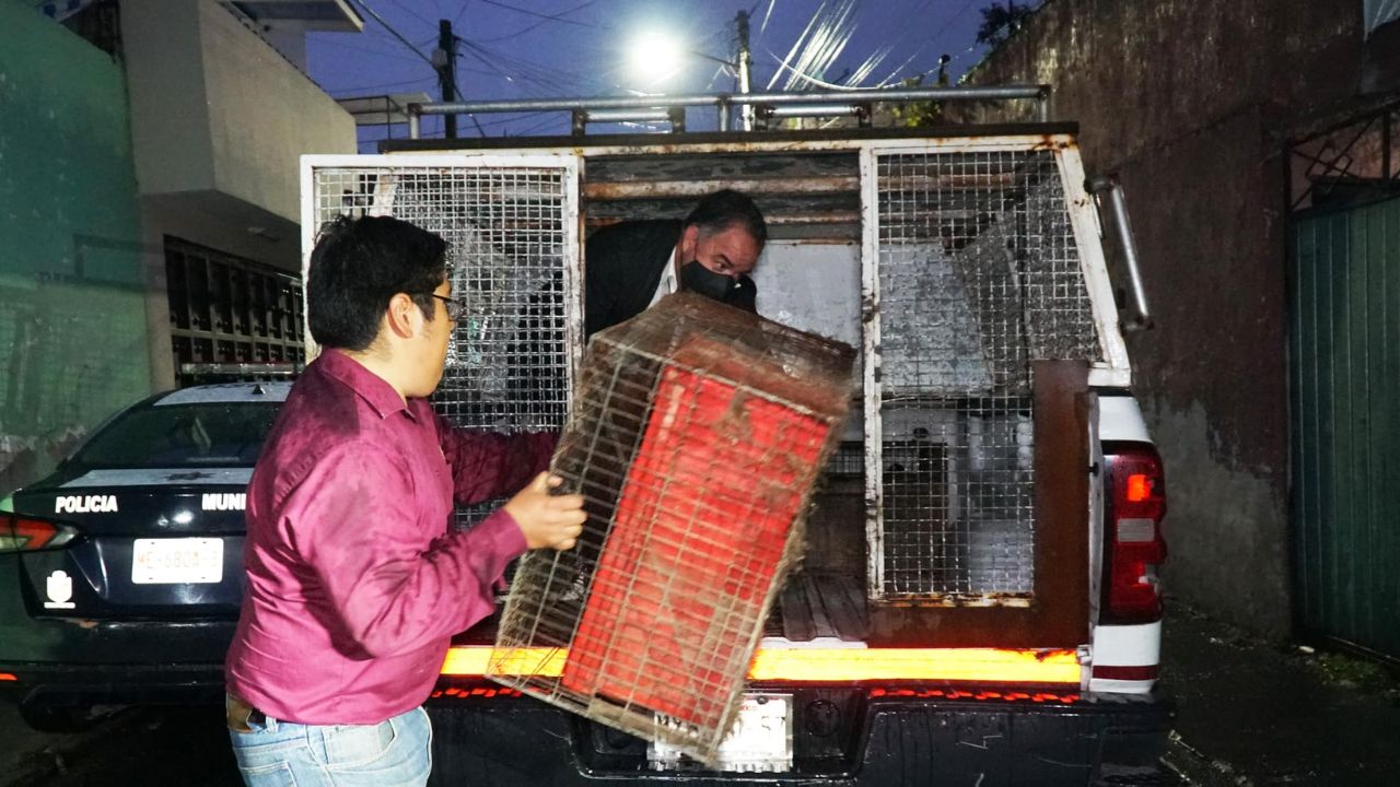 rescate-31-perritos-ecatepec-edomex-