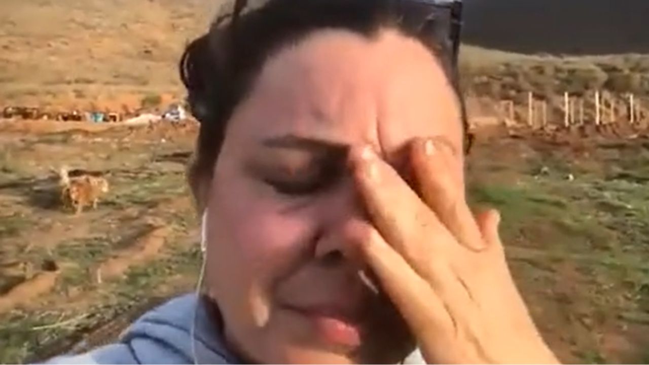 Envian-maquinas-para-destruir-albergue-de-perritos-en-BC-varios-animalitos-murieron