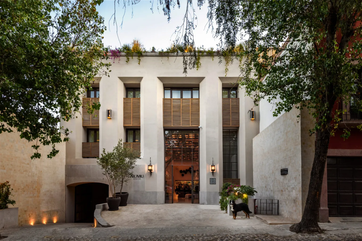 hotel_boutique_en_san_miguel_de_allende