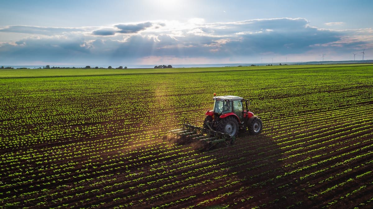 sector_agropecuario