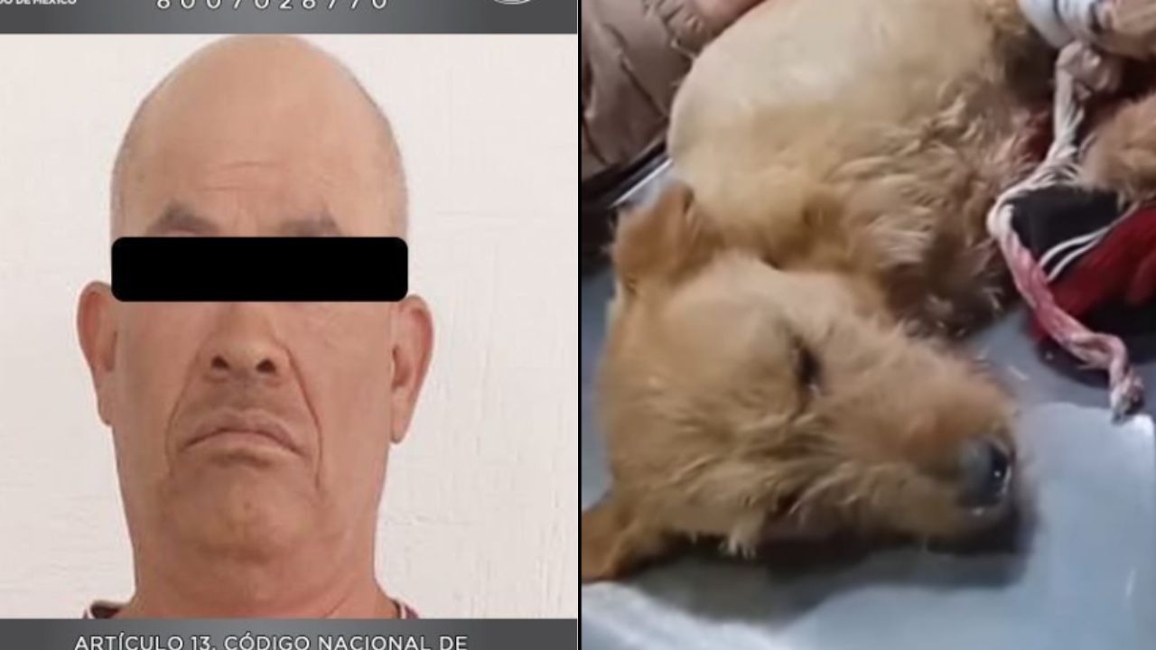 Detienen-a-hombre-que-le-destrozo-la-patita-a-un-perrito-en-Edomex