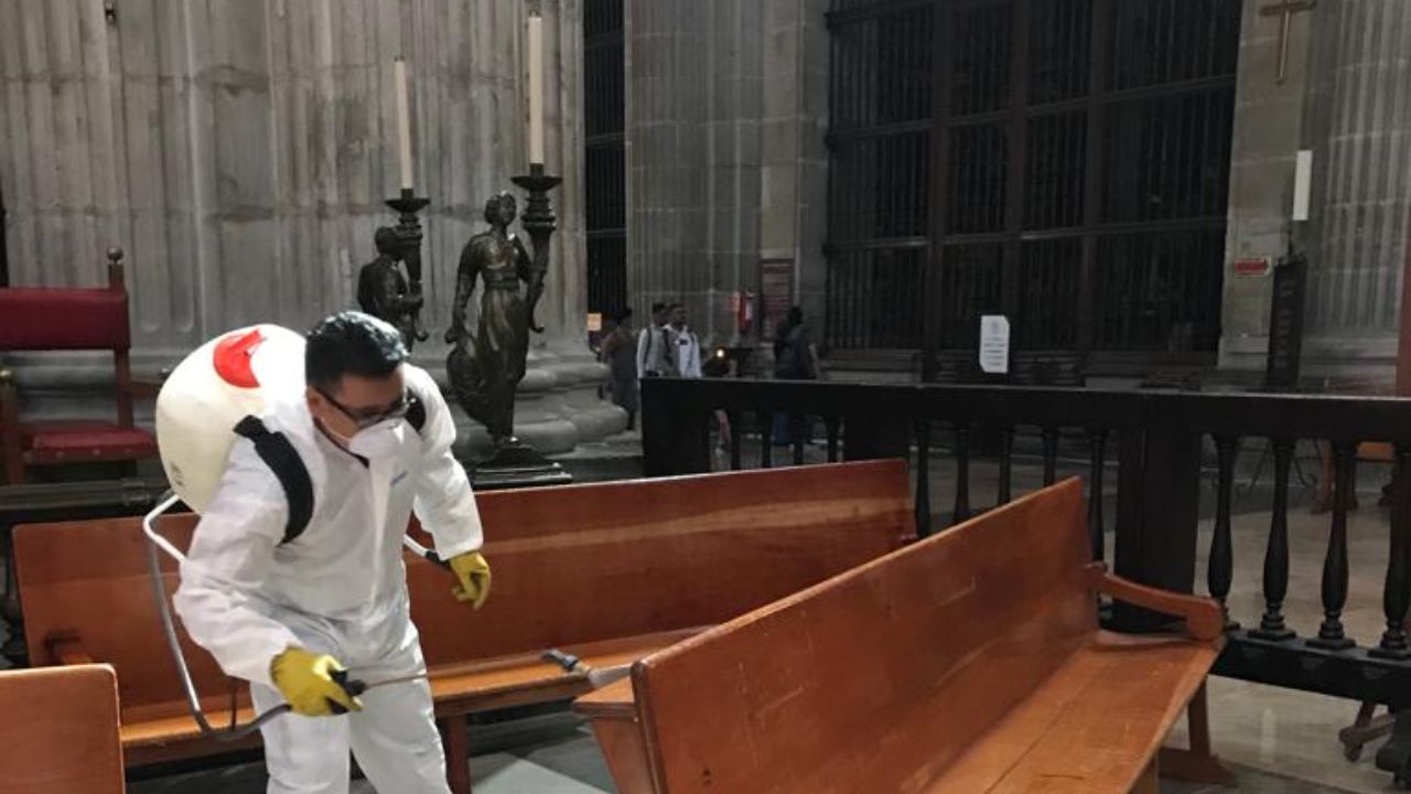 Fumigacion-catedral