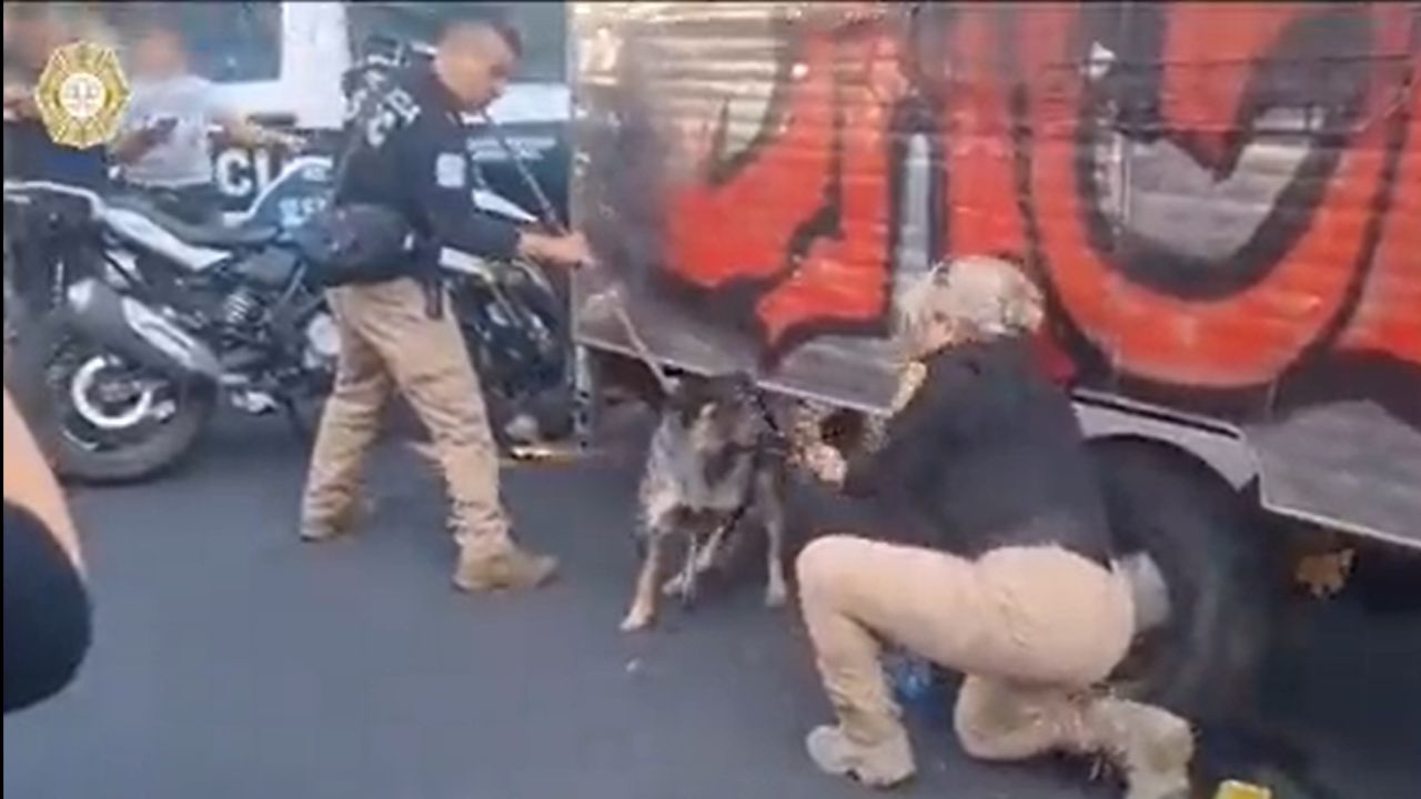 Rescatan-a-perrito-que-era-arrastrado-por-un-remolque-en-la-Venustiano-Carranza