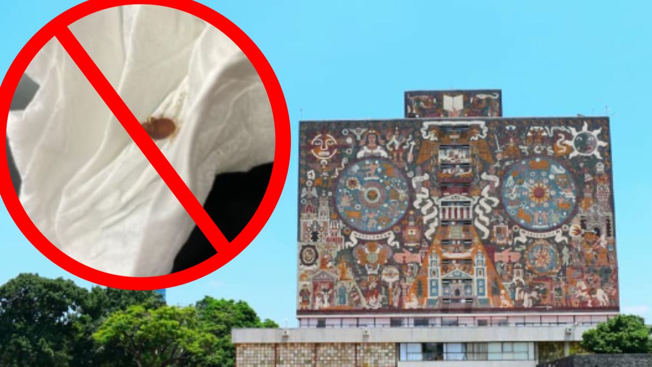 UNAM-niega-existencia-de-chinches-en-sus-instalaciones