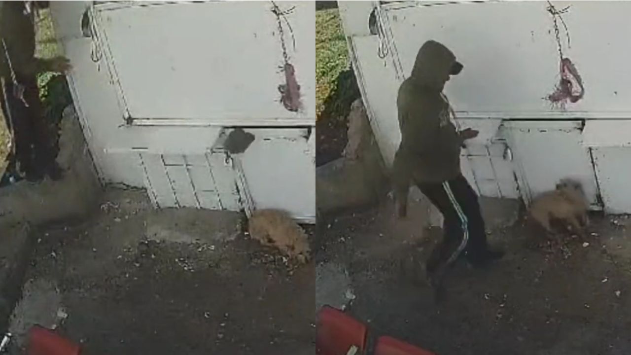 Captan-a-trabajador-de-limpieza-golpeando-a-perrito-en-Naucalpan