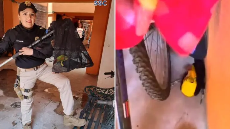 ciudadana_estadounidense_devuelve_de_manera_voluntaria_13_piezas_arqueologicas_a_mexico_14