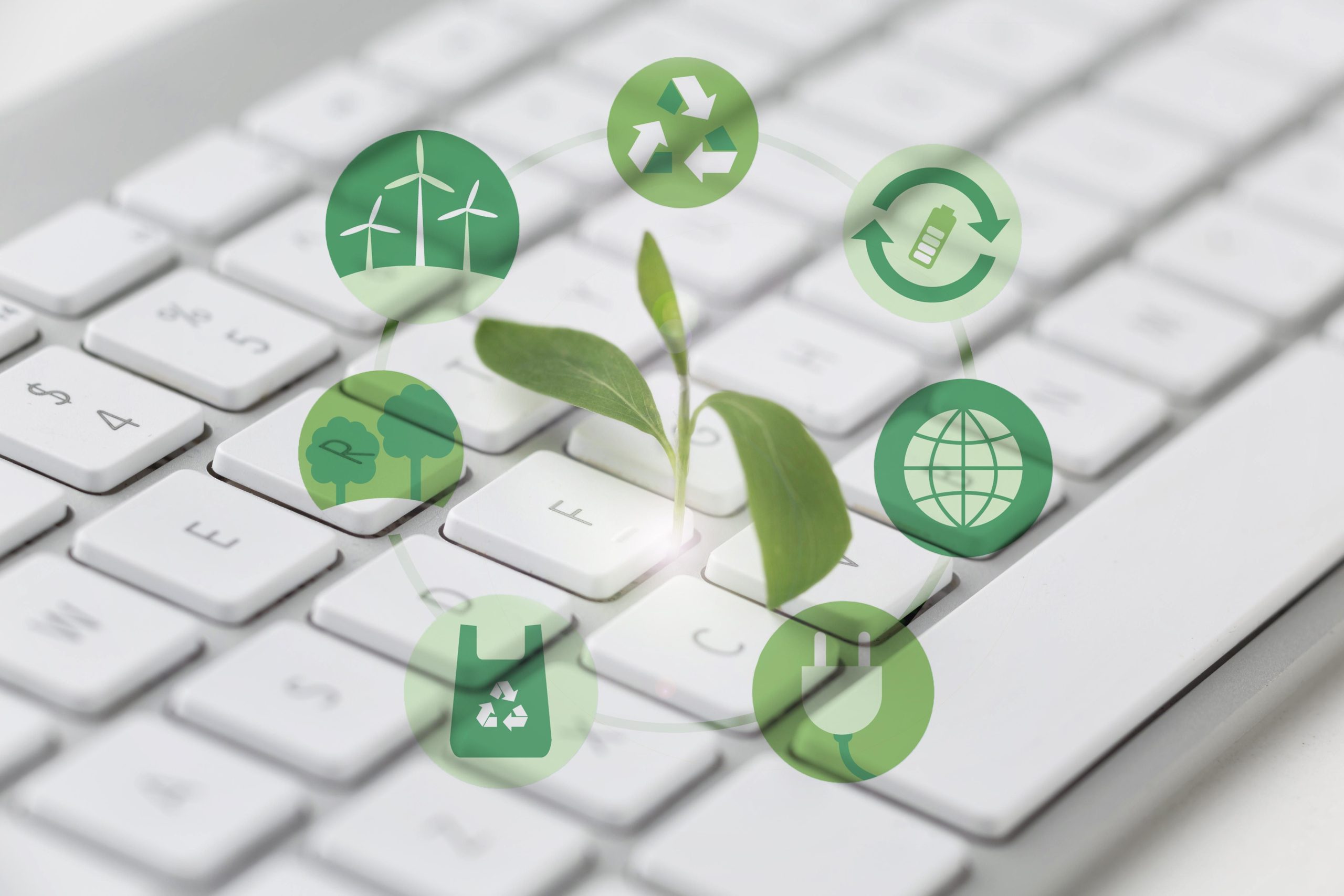 Green_media-1