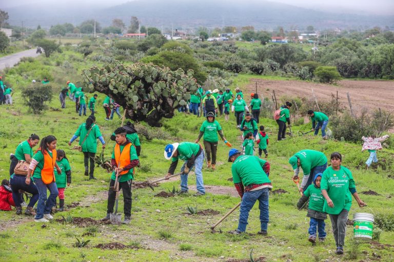 Iberdrola_Mxico_planta_8000_rboles_en_cinco_estados_Guanajuato