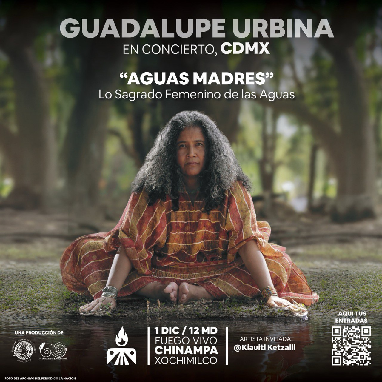 IMAGE 2024-11-21 16:28:14